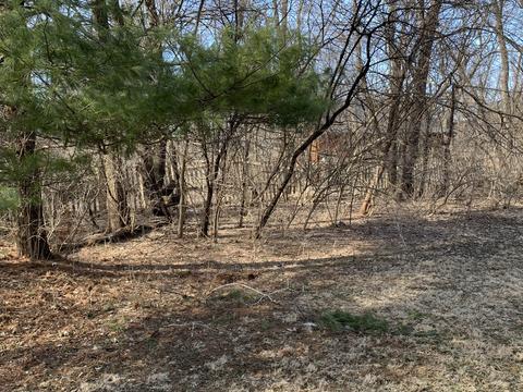4315 Sweitzer Rd, Algonquin, IL 60102 photo 38