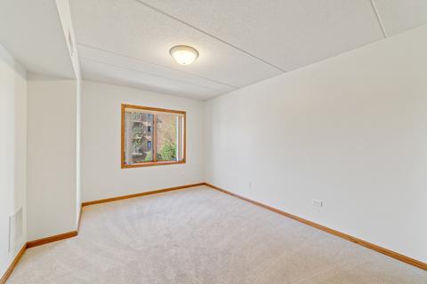 1327 E Washington St #202, Des Plaines, IL 60016 photo 18