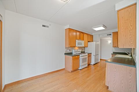 1327 E Washington St #202, Des Plaines, IL 60016 photo 12