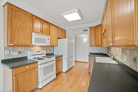 1327 E Washington St #202, Des Plaines, IL 60016 photo 10