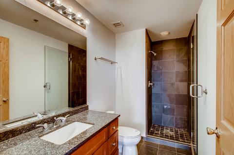 41 E 8th St #3404, Chicago, IL 60605 photo 12