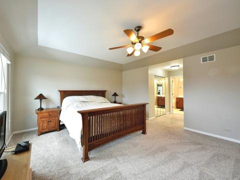 519 Flora Dr, Algonquin, IL 60102 photo 12