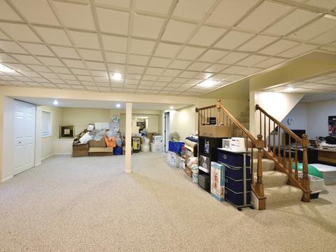 519 Flora Dr, Algonquin, IL 60102 photo 18
