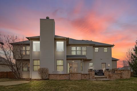 12928 Alpine Way, Plainfield, IL 60585 photo 42