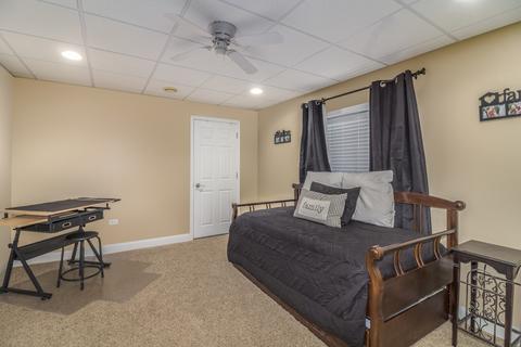 12928 Alpine Way, Plainfield, IL 60585 photo 35