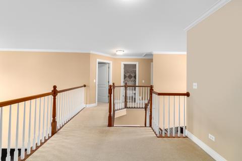 12928 Alpine Way, Plainfield, IL 60585 photo 20