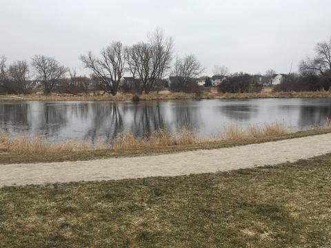 5212 Palm St, Mchenry, IL 60051 photo 21