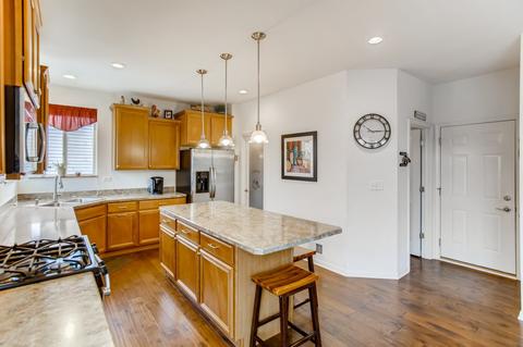 3146 Kyra Ln, Elgin, IL 60124 photo 9