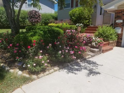 1225 Hassell Cir, Hoffman Estates, IL 60169 photo 29