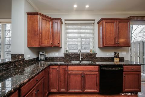 1743 Elyse Ln, Naperville, IL 60565 photo 9