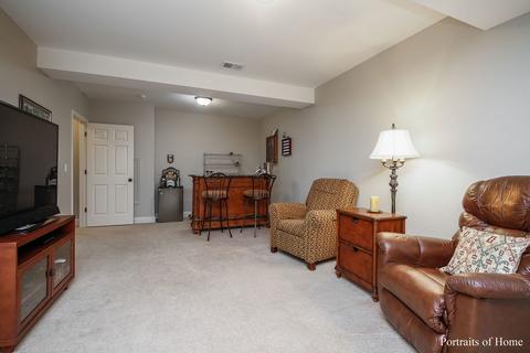 1743 Elyse Ln, Naperville, IL 60565 photo 22