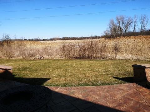 1000 Longford Rd, Bartlett, IL 60103 photo 15