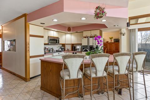 253 Denver Dr, Des Plaines, IL 60018 photo 11