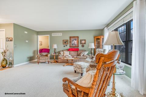 704 Buffalo Dr, Minooka, IL 60447 photo 13