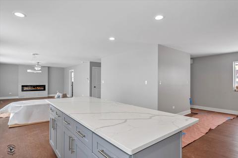 26075 County Fair Dr, Monee, IL 60449 photo 9