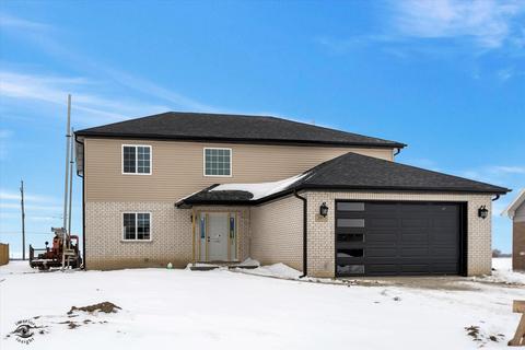 26075 County Fair Dr, Monee, IL 60449 photo 1