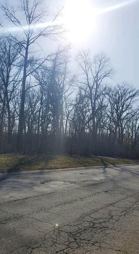 183 W 129th Ave, Crown Point, IN 46307 photo 3