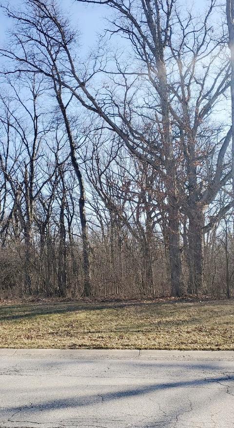 183 W 129th Ave, Crown Point, IN 46307 photo 2