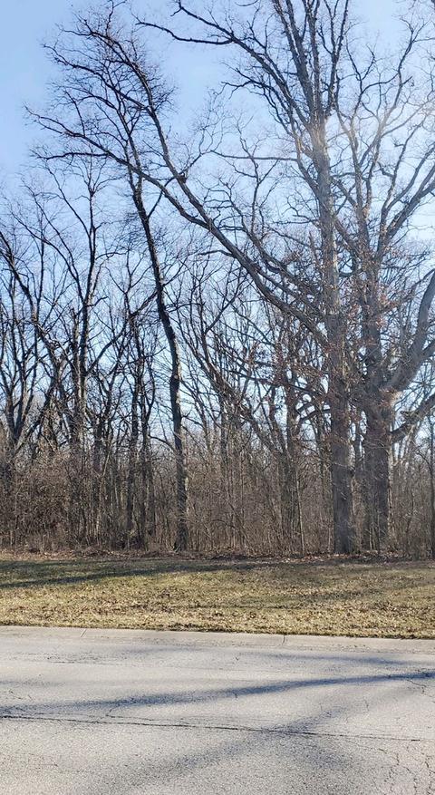 183 W 129th Ave, Crown Point, IN 46307 photo 4