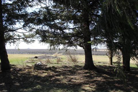 1003 E 1500 North Rd, Onarga, IL 60955 photo 34