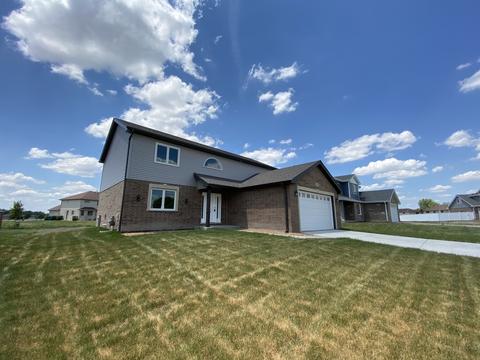 5031 Hawk Ln, Monee, IL 60449 photo 1