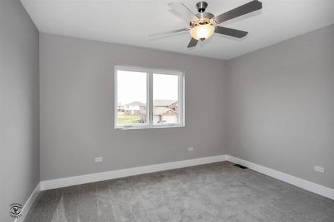 5031 Hawk Ln, Monee, IL 60449 photo 21