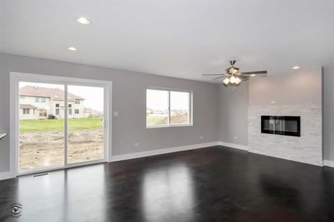 5031 Hawk Ln, Monee, IL 60449 photo 10