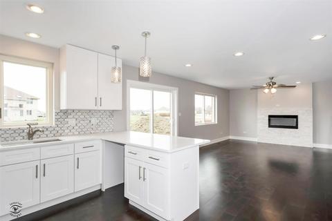 5031 Hawk Ln, Monee, IL 60449 photo 13
