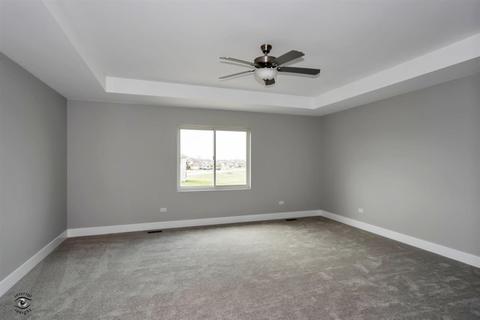 5031 Hawk Ln, Monee, IL 60449 photo 17