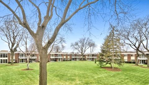100 Deborah Ln #A20, Wheeling, IL 60090 photo 12