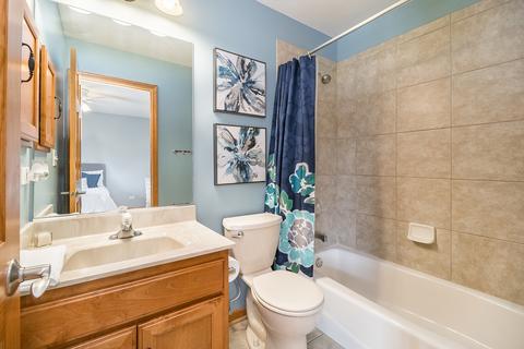 13522 Arborview Cir, Plainfield, IL 60585 photo 21