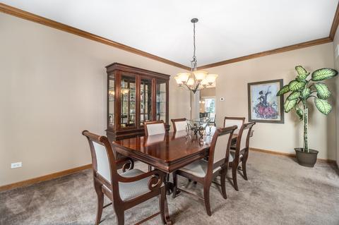13522 Arborview Cir, Plainfield, IL 60585 photo 5