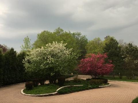 9681 Elm Ter, Des Plaines, IL 60016 photo 65