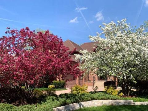 9681 Elm Ter, Des Plaines, IL 60016 photo 64