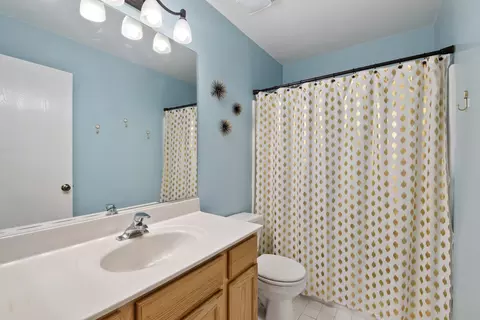 21743 Ivanhoe Trl, Plainfield, IL 60544 photo 17