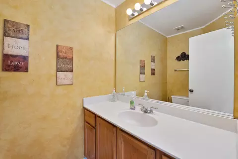 21743 Ivanhoe Trl, Plainfield, IL 60544 photo 23