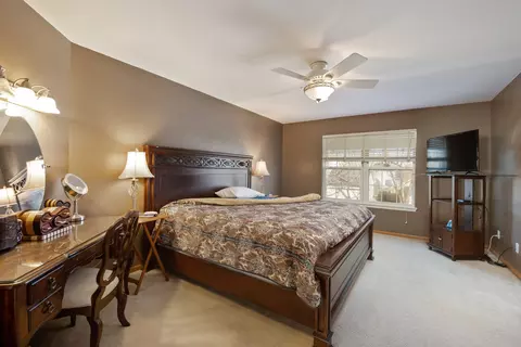 21743 Ivanhoe Trl, Plainfield, IL 60544 photo 14