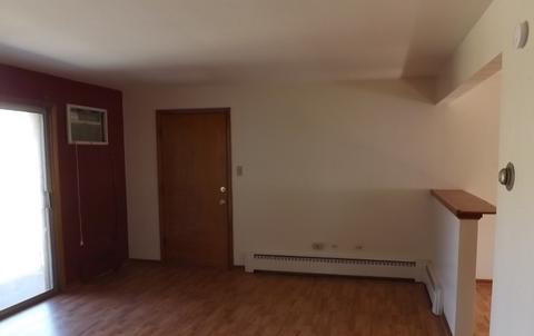 18318 Exchange Ave #2B, Lansing, IL 60438 photo 10
