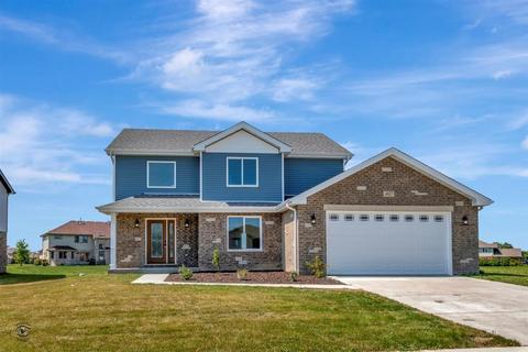 5019 Hawk Ln, Monee, IL 60449 photo 2