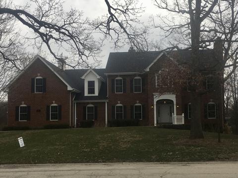 11314 Plattner Dr, Mokena, IL 60448 photo 1