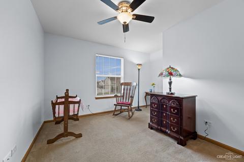6308 Brixton Ct, Plainfield, IL 60586 photo 23
