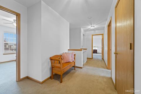 6308 Brixton Ct, Plainfield, IL 60586 photo 13