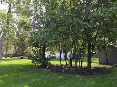 1718 E Geneva Rd, Wheaton, IL 60187 photo 6