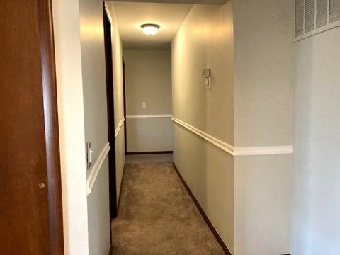 960 S Chatham Ave, Addison, IL 60101 photo 17