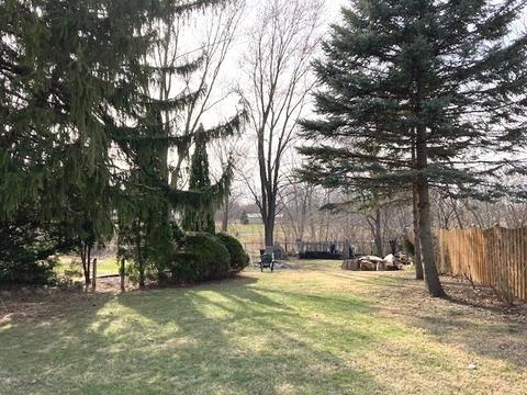 960 S Chatham Ave, Addison, IL 60101 photo 28