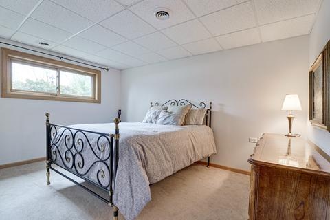 610 E Turner Ave, Roselle, IL 60172 photo 20
