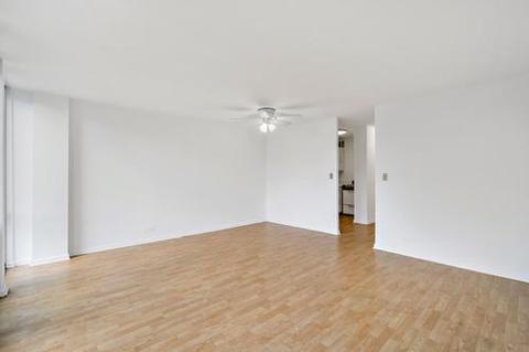 1 E Scott St #1011, Chicago, IL 60610 photo 6