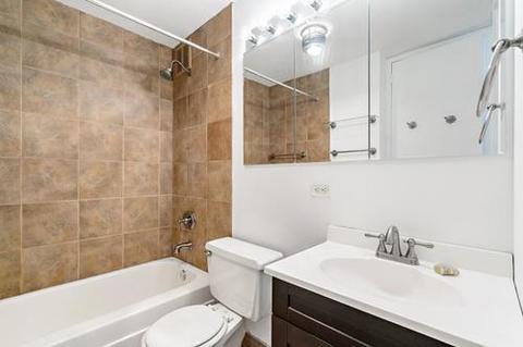 1 E Scott St #1011, Chicago, IL 60610 photo 8