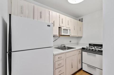 1 E Scott St #1011, Chicago, IL 60610 photo 7