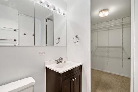 1 E Scott St #1011, Chicago, IL 60610 photo 9
